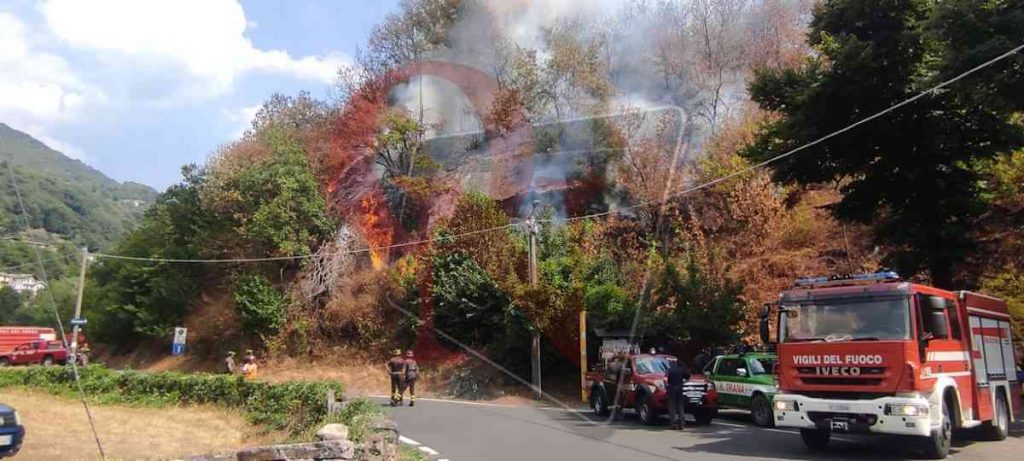 pont canavese frassinetto incendio boschivo