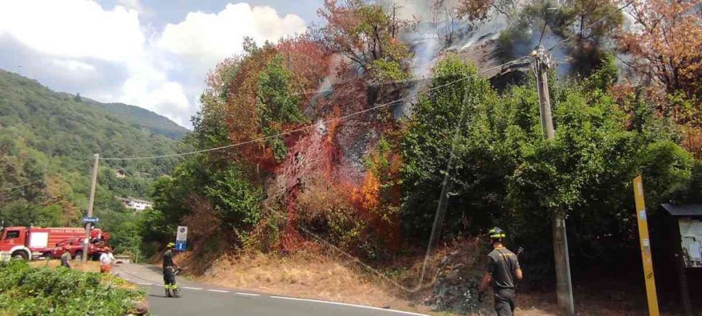 pont canavese frassinetto incendio boschivo