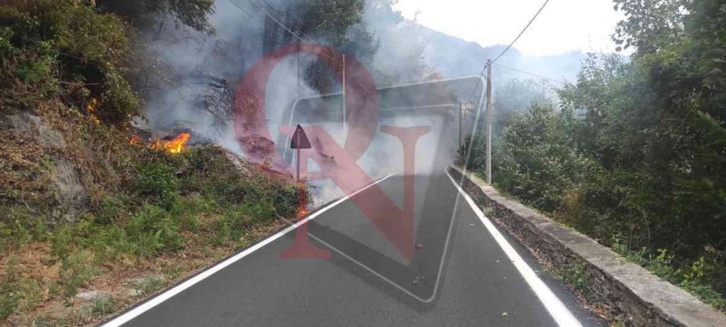 Pont incendio boschivo