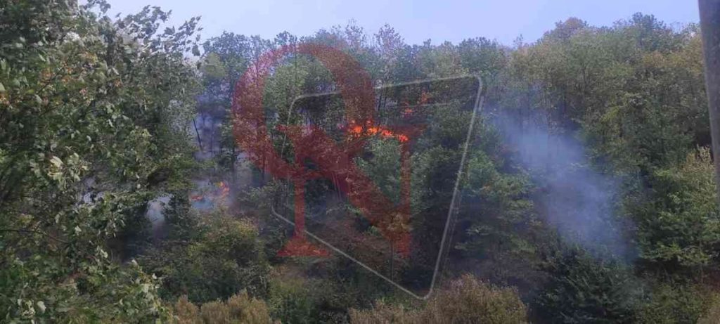 Pont incendio boschivo