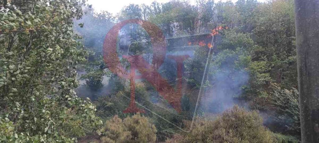 Pont incendio boschivo