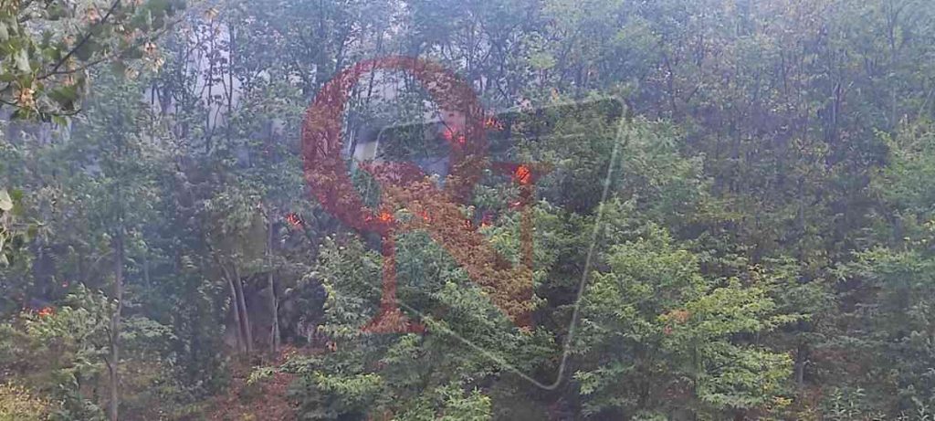 Pont incendio boschivo