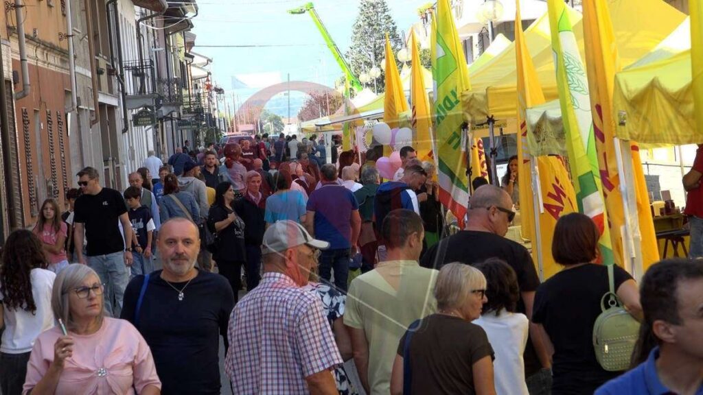 bosconero fiera agricola