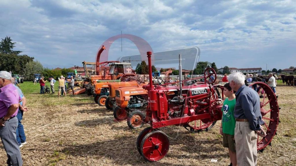 rivarolo canavese argentera mostra zootecnica