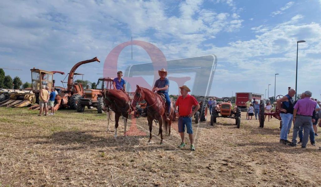 rivarolo canavese argentera mostra zootecnica