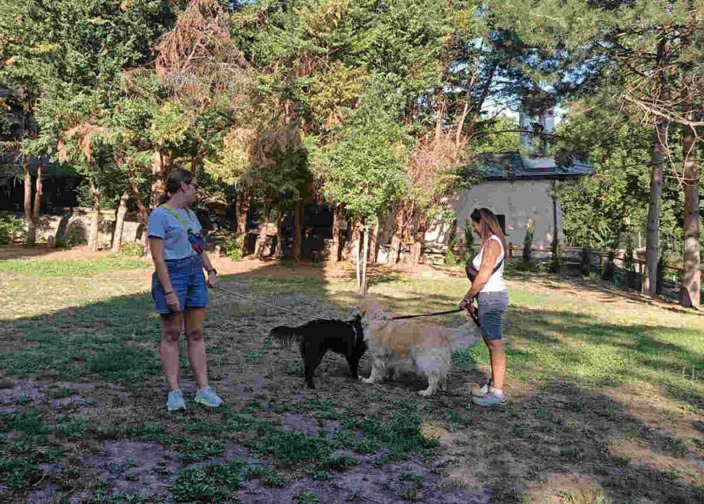 Aosta passeggiate dog friendly