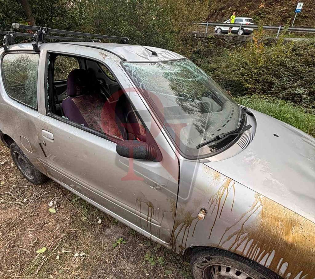 canischio auto ribaltata sp43