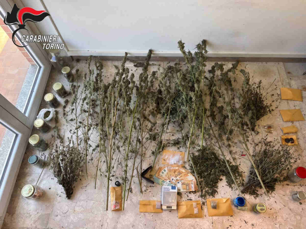 coassolo droga